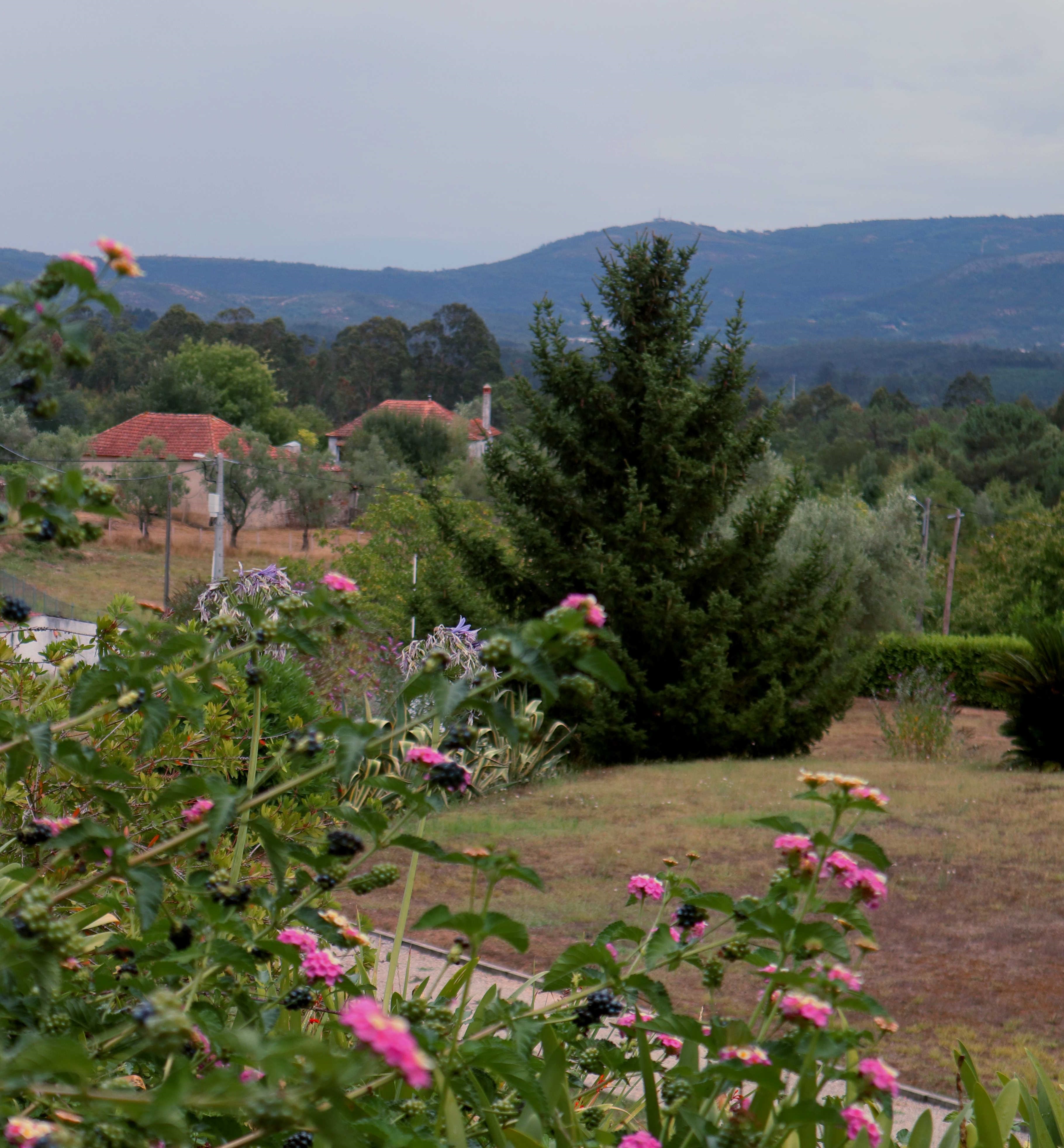 Flores, jardins e serra junto a VilaCrasto